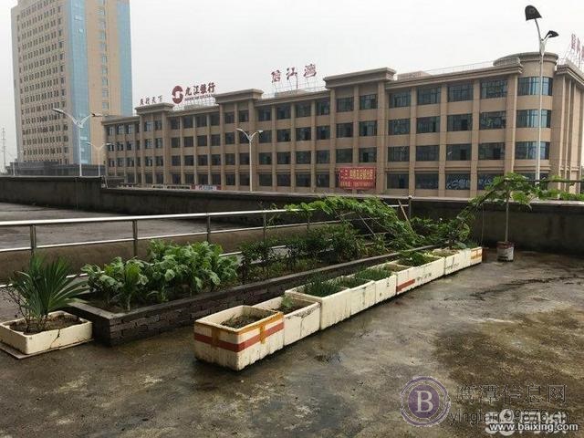 高档社区送20平米露台大户型 精装修 业主工作调动